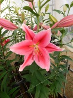 [5305 Lake Carey Mak No01.JPG]